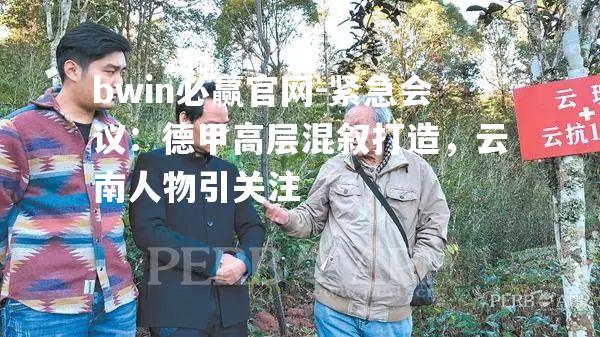 紧急会议：德甲高层混叙打造，云南人物引关注