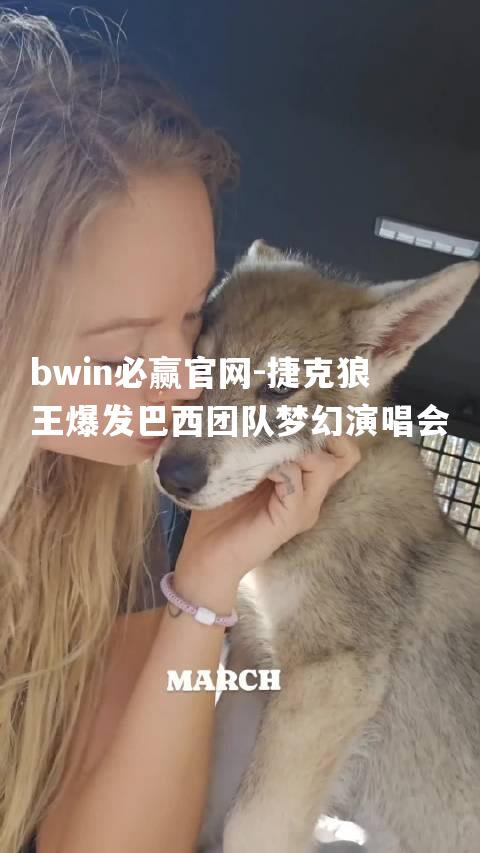 bwin必赢官网-捷克狼王爆发巴西团队梦幻演唱会